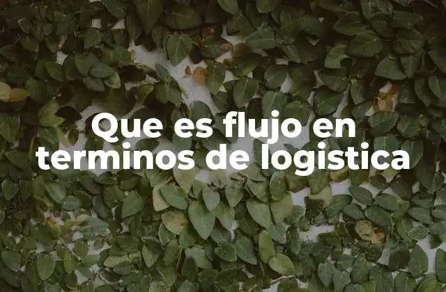 Que es Flujo en Terminos de Logistica