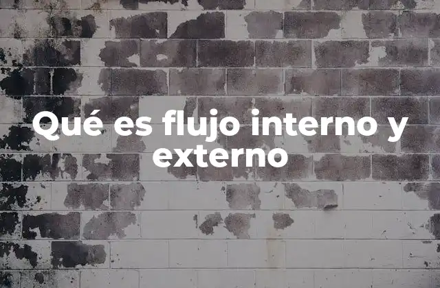 Qué es Flujo Interno y Externo
