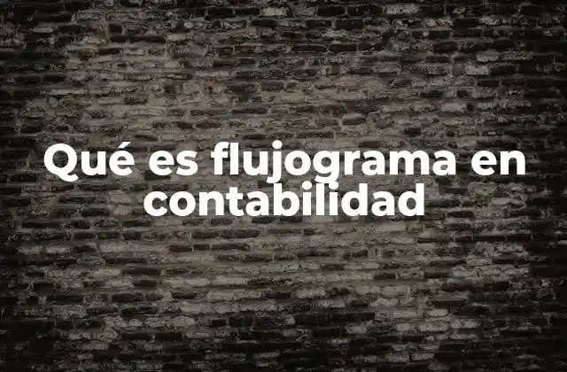 Qué es Flujograma en Contabilidad