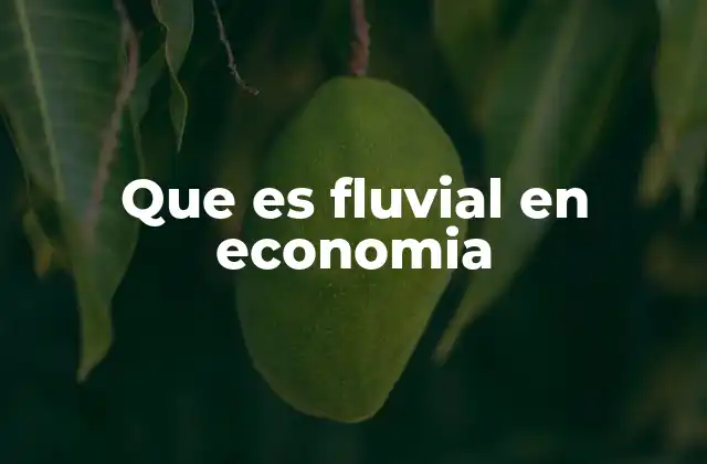 Que es Fluvial en Economia