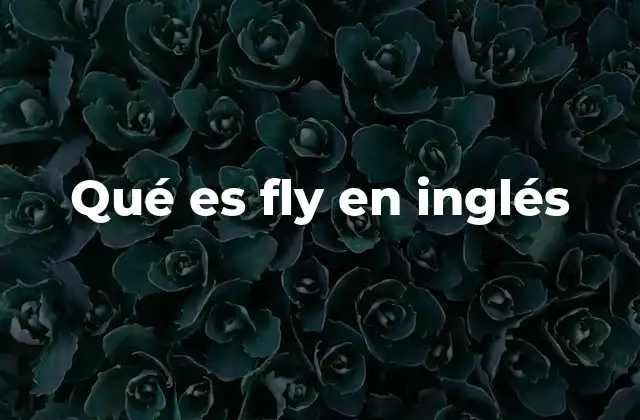 Qué es Fly en Inglés