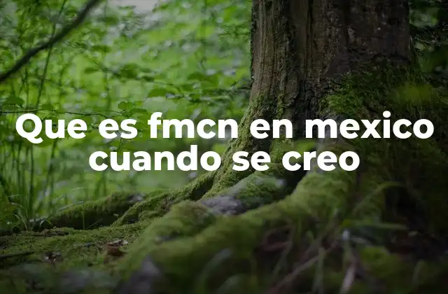 Que es Fmcn en Mexico Cuando Se Creo