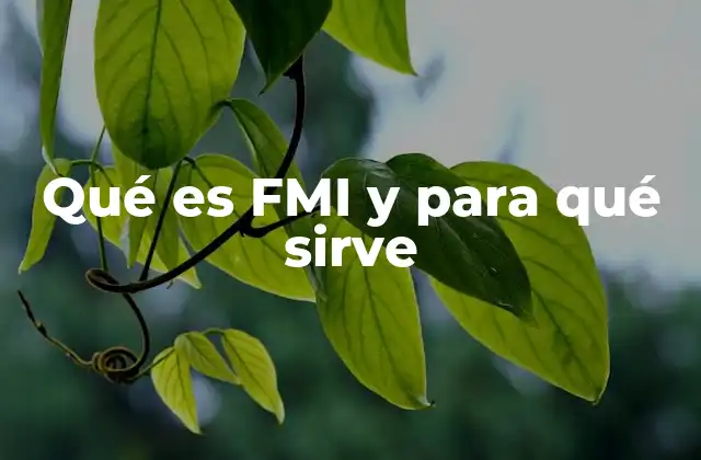 Qué es Fmi y para Qué Sirve