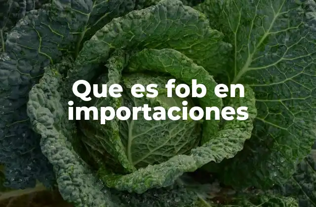 Que es Fob en Importaciones