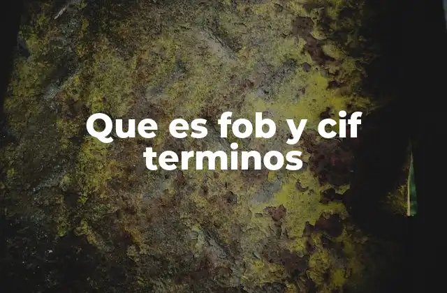 Que es Fob y Cif Terminos