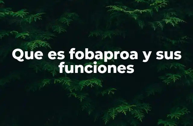 Que es Fobaproa y Sus Funciones