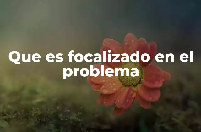 Que es Focalizado en el Problema