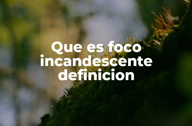 Que es Foco Incandescente Definicion 2 Cómo funciona un foco incandescente