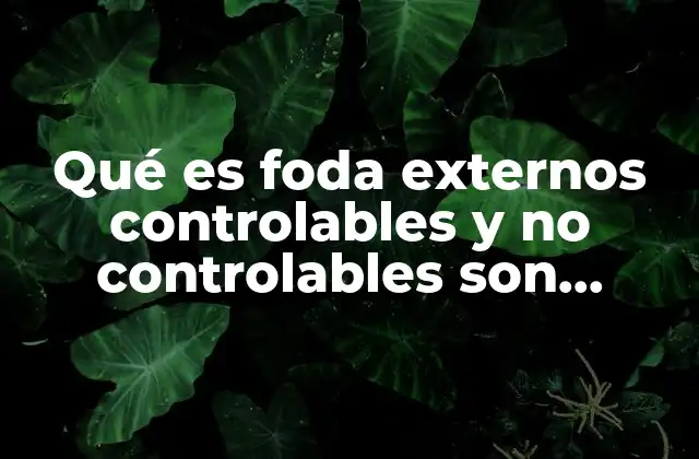 Qué es Foda Externos Controlables y No Controlables Son Controlables