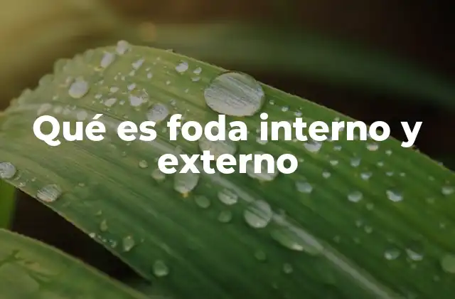 Qué es Foda Interno y Externo