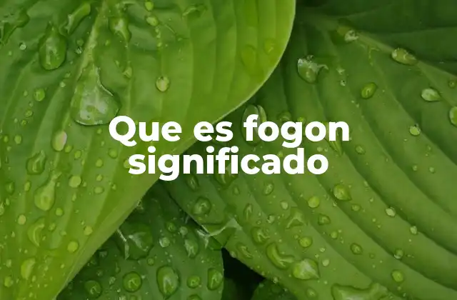 El fogón en la vida cotidiana