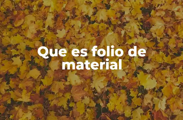 Que es Folio de Material