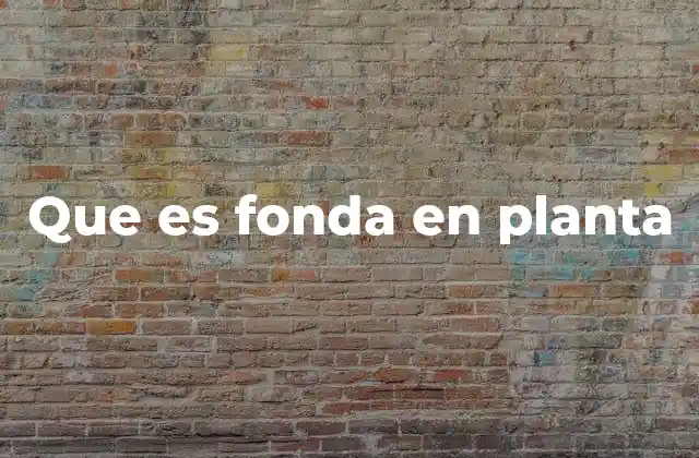 Que es Fonda en Planta