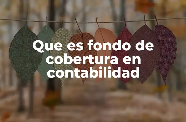 Que es Fondo de Cobertura en Contabilidad