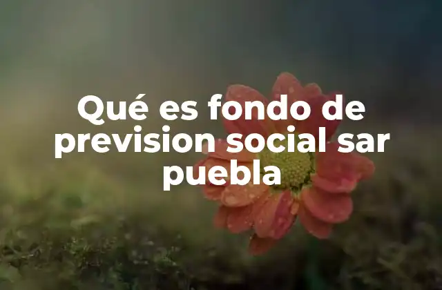 Qué es Fondo de Prevision Social Sar Puebla