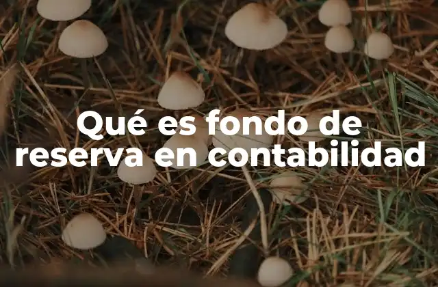 La importancia de los fondos de reserva en la estabilidad financiera