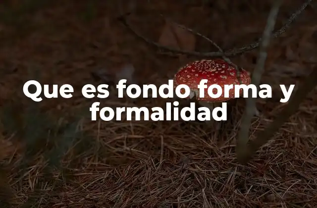Que es Fondo Forma y Formalidad 2 La importancia del fondo en los procesos jurídicos