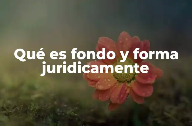 Qué es Fondo y Forma Juridicamente
