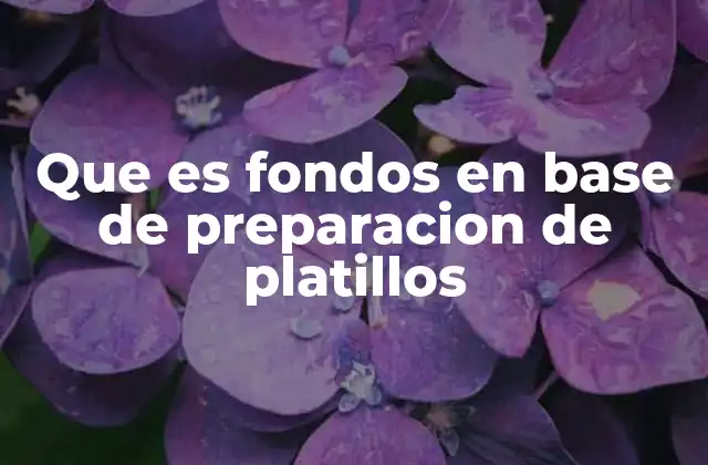 Que es Fondos en Base de Preparacion de Platillos