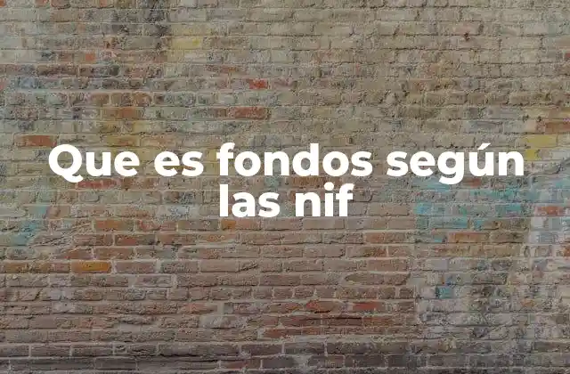 Que es Fondos según las Nif