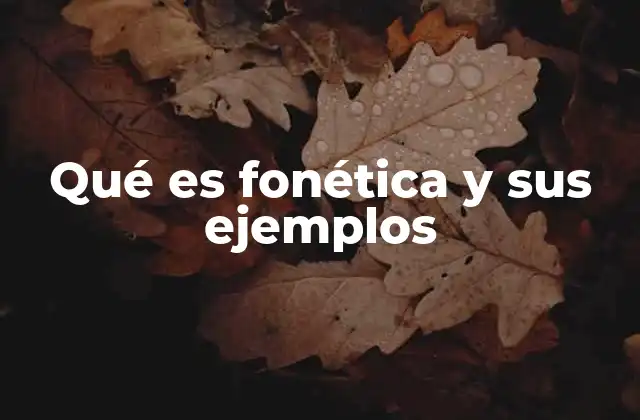 Qué es Fonética y Sus Ejemplos
