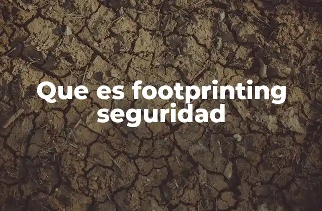 Entendiendo el proceso de footprinting