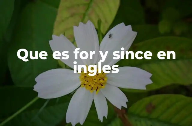 Que es For y Since en Ingles