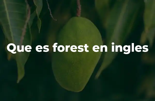 Que es Forest en Ingles 2 La importancia de los bosques en el mundo