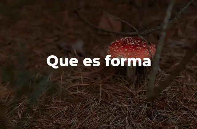 Que es Forma