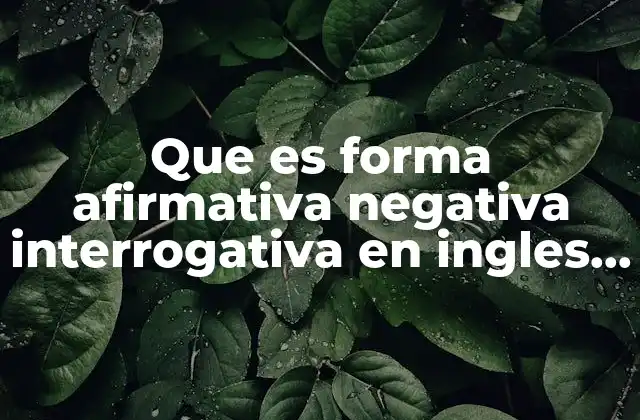 Que es Forma Afirmativa Negativa Interrogativa en Ingles Informacion