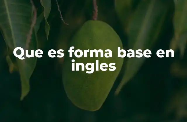 Que es Forma Base en Ingles 2 Cómo identificar y usar correctamente la forma base de los verbos