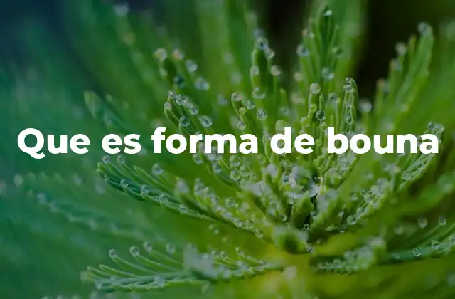 Que es Forma de Bouna