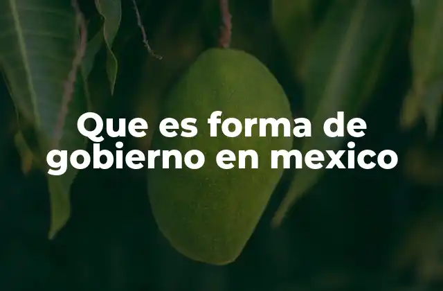 Que es Forma de Gobierno en Mexico