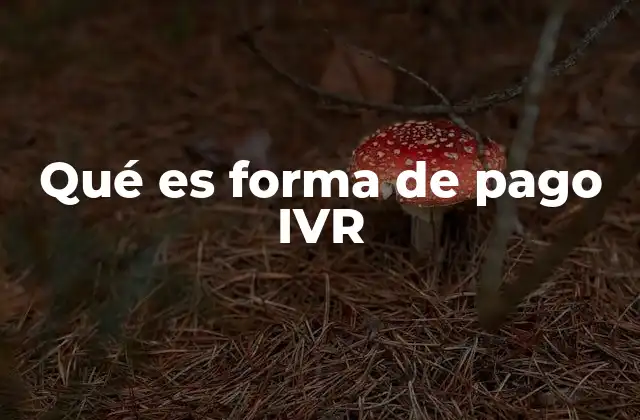 Qué es Forma de Pago Ivr