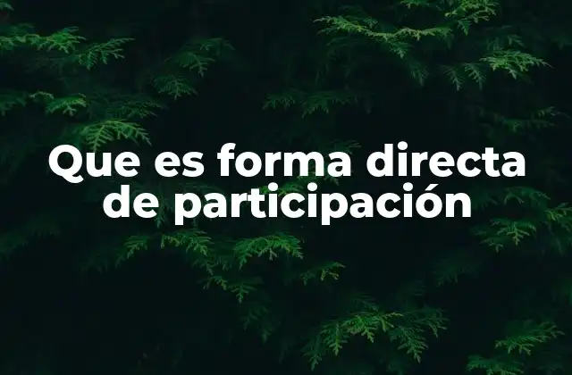 Que es Forma Directa de Participación
