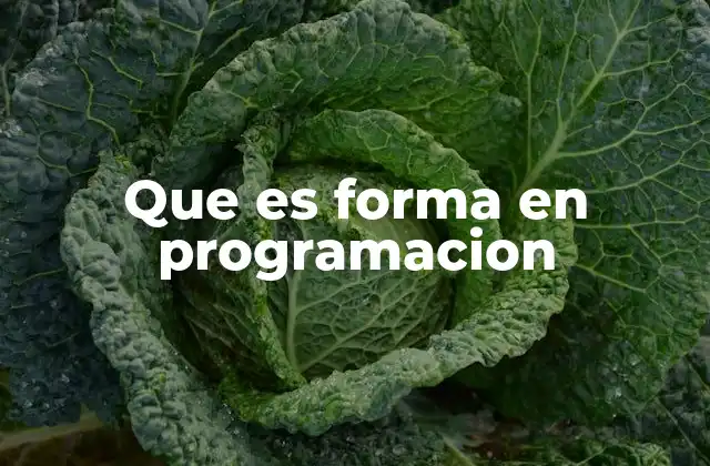 Que es Forma en Programacion