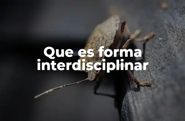 Que es Forma Interdisciplinar