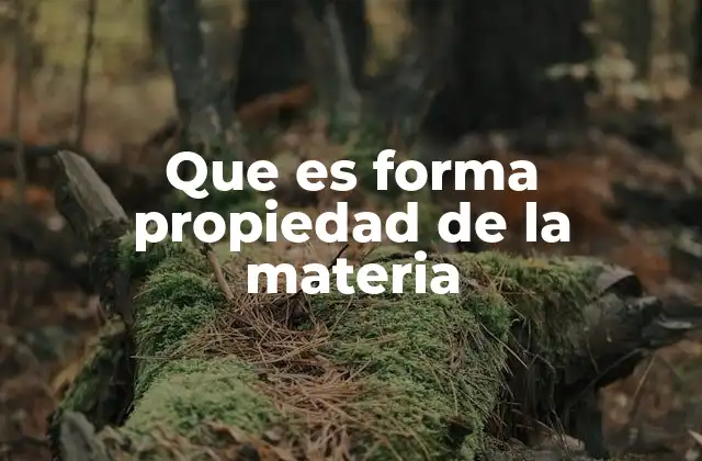 Que es Forma Propiedad de la Materia