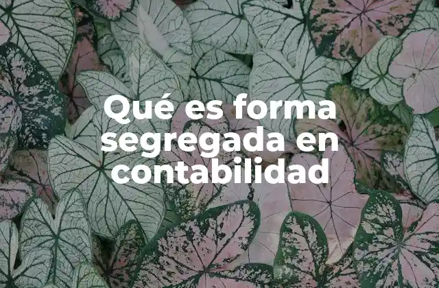 Qué es Forma Segregada en Contabilidad