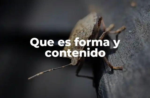Que es Forma y Contenido