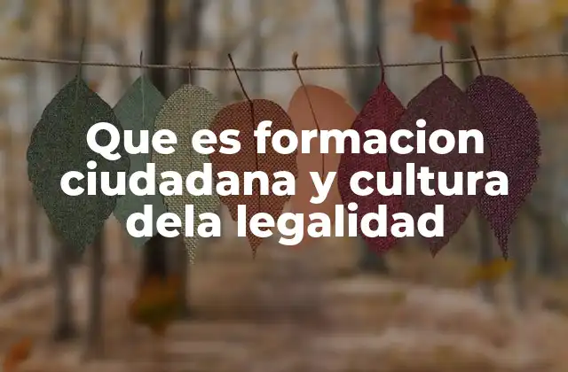 Que es Formacion Ciudadana y Cultura Dela Legalidad