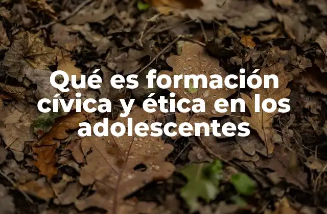 Qué es Formación Cívica y Ética en los Adolescentes