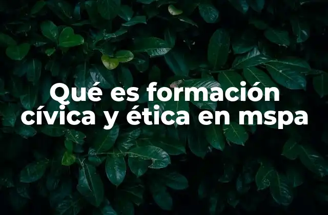Qué es Formación Cívica y Ética en Mspa 2 El enfoque pedagógico de la formación cívica y ética en el sistema educativo