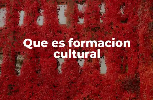 Que es Formacion Cultural