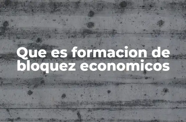 Que es Formacion de Bloquez Economicos