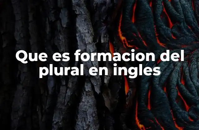 Que es Formacion Del Plural en Ingles