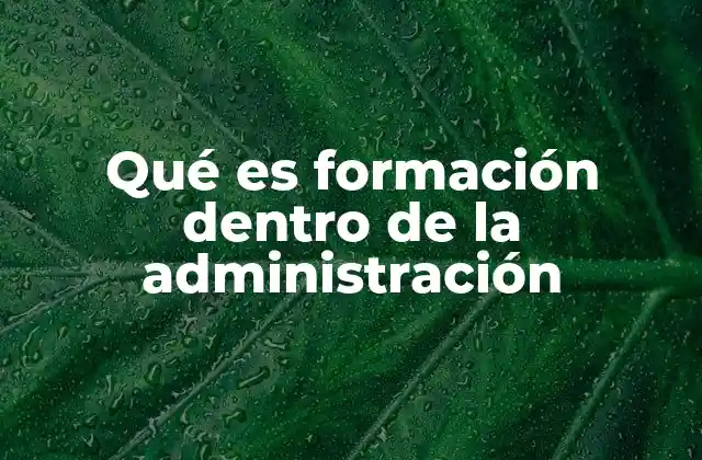 Qué es Formación Dentro de la Administración