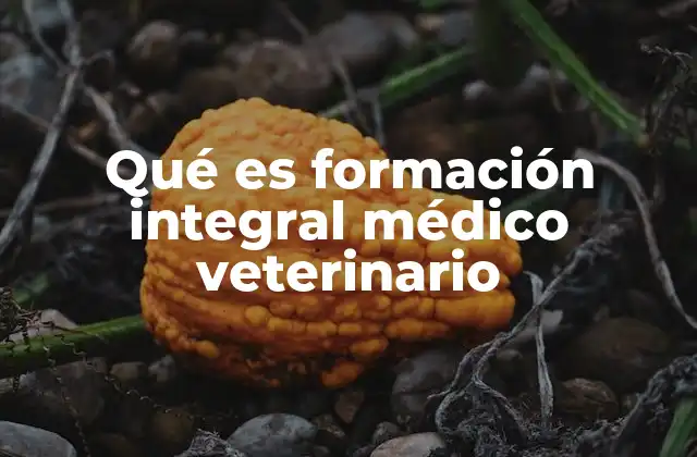 La importancia de una educación holística en veterinaria