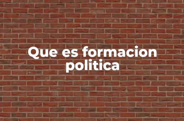 Cómo se desarrolla el proceso de formación política