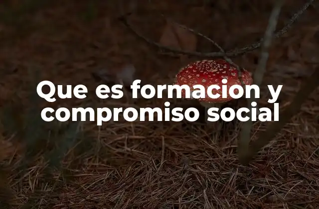 Que es Formacion y Compromiso Social